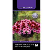 Цветы Петуния Изи Вейв Бриджит (Поиск)