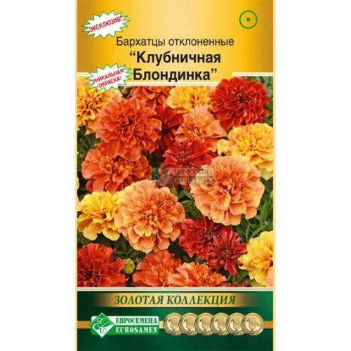 Цветы Бархатцы Клубничная Блондинка (ЕСМ)