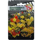 Цветы Бегония Иллюминейшен Голден Пикоти (БИО)