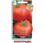 Томат Волгоградец (Поиск)