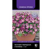 Цветы Петуния Стеллина Стар (Поиск)