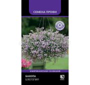 Цветы Бакопа Блютопия (Поиск)