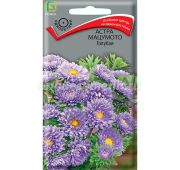 Цветы Астра Мацумото голубая (Поиск)