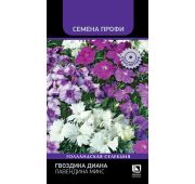 Цветы Гвоздика Диана Лавендина микс (Поиск)