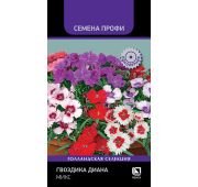 Цветы Гвоздика Диана микс (Поиск)