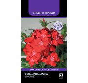 Цветы Гвоздика Диана Скарлет (Поиск)