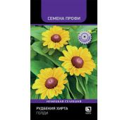 Цветы Рудбекия Хирта Голди (Поиск)