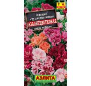 Цветы Годеция Азалиецветковая (Аэлита)