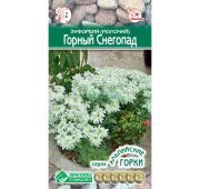 Цветы Молочай Горный Снегопад (ЕСМ)