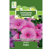Цветы Лаватера Лада (Поиск) ЧБ