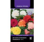 Цветы Бегония Инфинити Микс (Поиск)