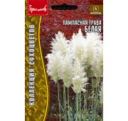 Цветы Пампасная трава белая (РО)