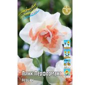 Нарцисс Пинк Перформанс (махр) 1шт