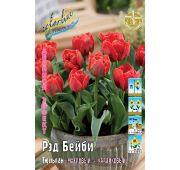 Тюльпан Рэд Бейби (2-й эффект) 1шт