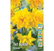 Нарцисс Тет Букле (мнгцв.махр) 1шт