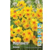 Нарцисс Мартинетт (мнгцв) 1шт
