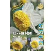 Нарцисс Канкан Герл 1шт