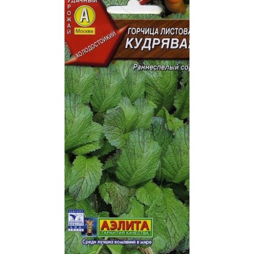 Салат Горчица Крупнолистная Кудрявая (Аэлита)