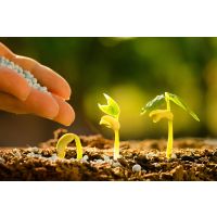 Удобрение Ризопон(Rhizopon)